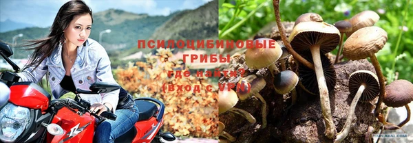 герыч Абинск
