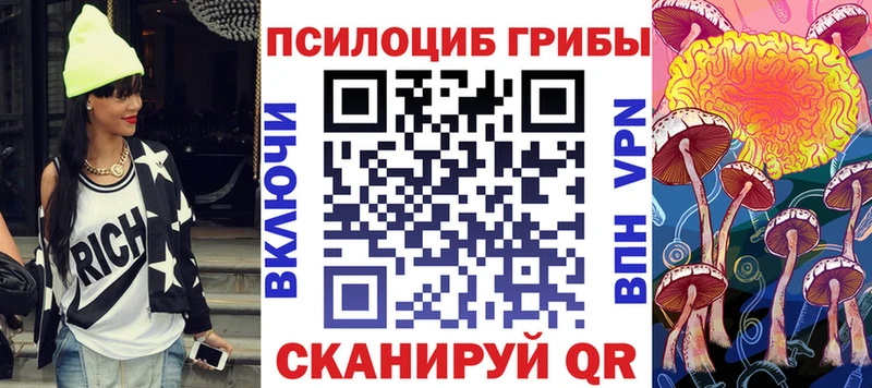 Галлюциногенные грибы Psilocybe где найти наркотики Фокино